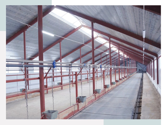 Строительство коровников в Шебекино от 611 руб.