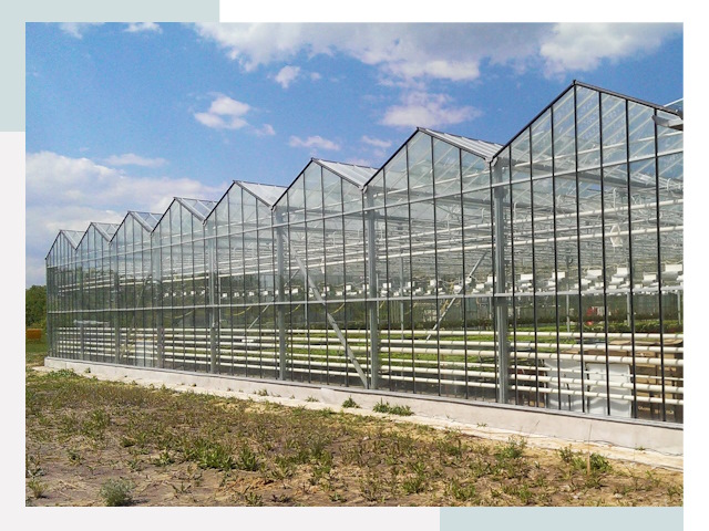 Строительство теплиц в Шебекино от 611 руб. за м²