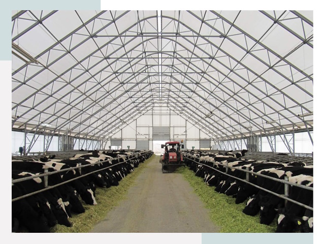 Тентовые коровники в Шебекино от 611 руб. - Надежно и доступно